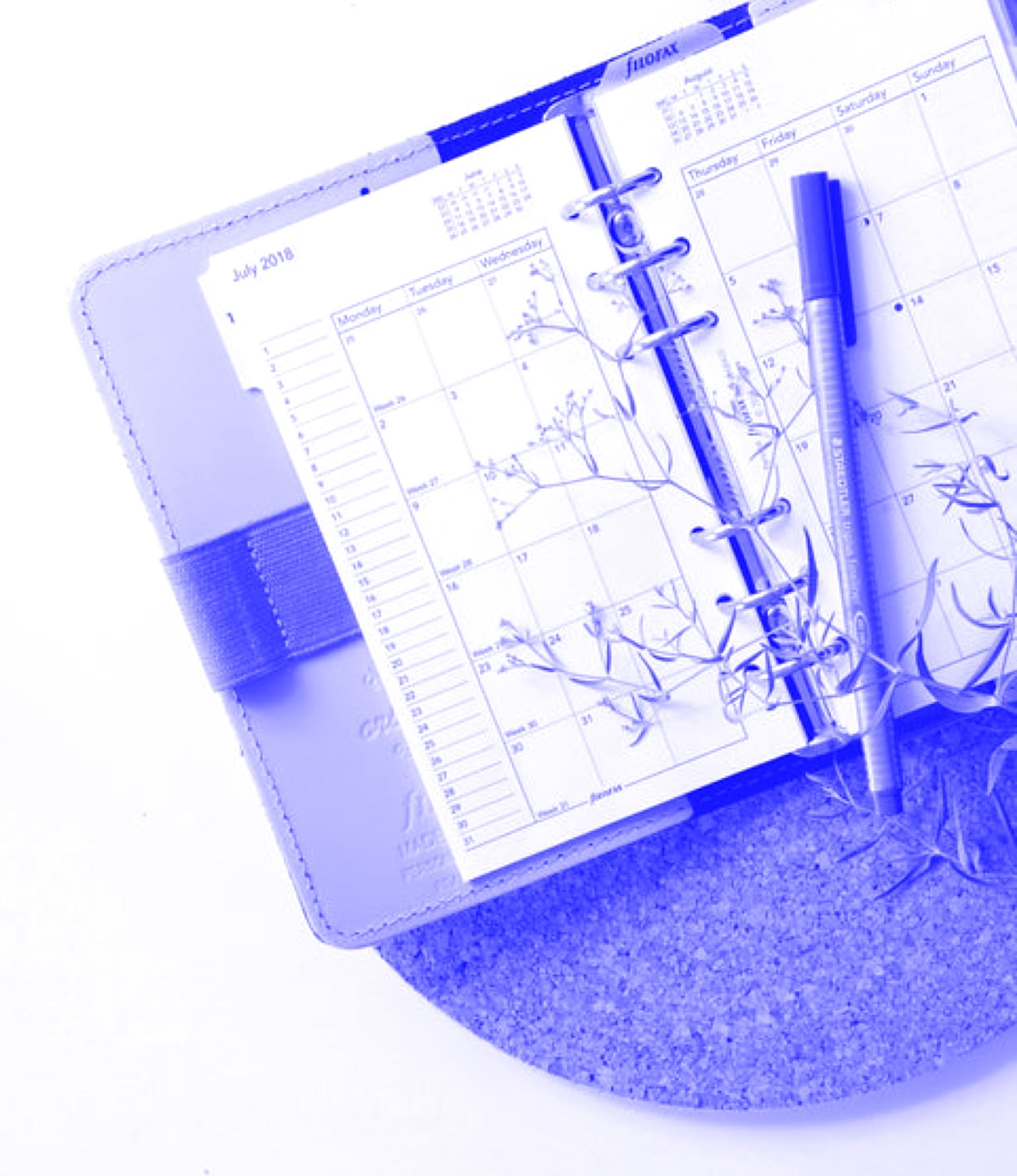 Agenda