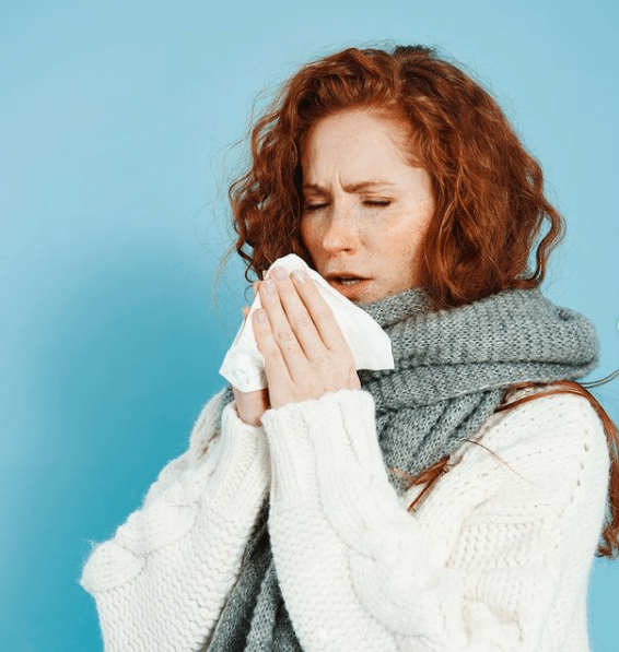 Remeis naturals pel refredat! L’Equinacea